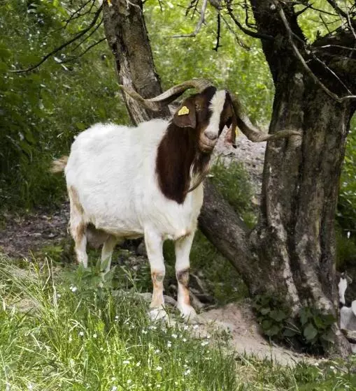 هتل Farm Stay Loger