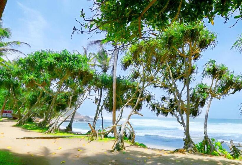 膳宿费 Naomi Beach Resort Adults Only