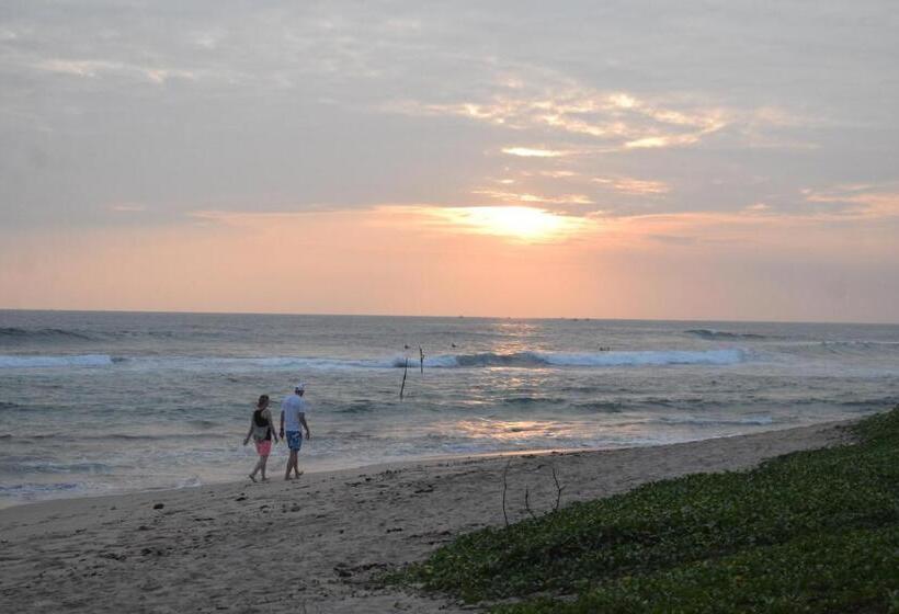 膳宿费 Naomi Beach Resort Adults Only