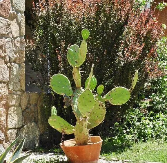 Retkeilymaja Posada Terracota