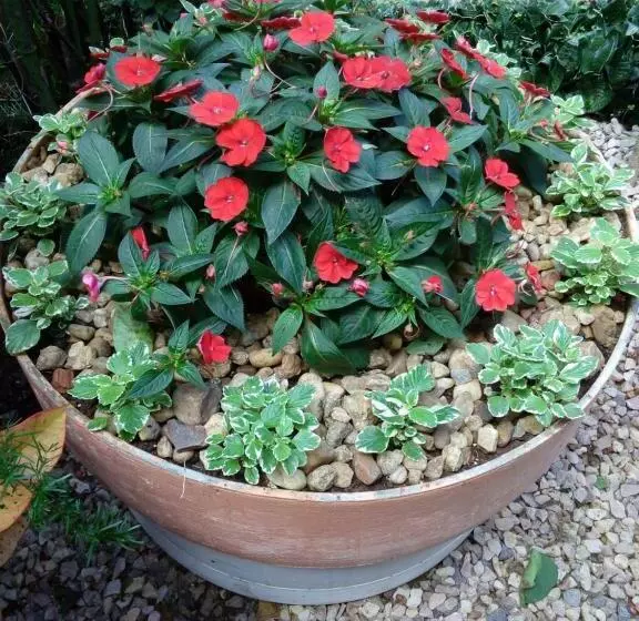 Majatalo Eco Pousada Jardim Do Eden