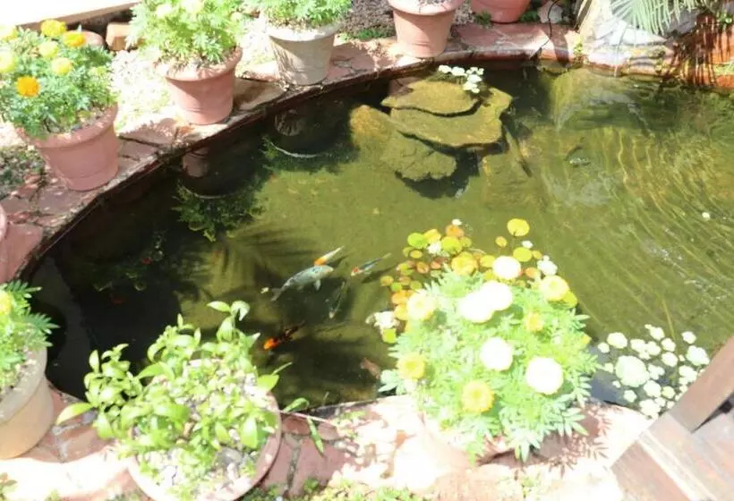 Majatalo Eco Pousada Jardim Do Eden