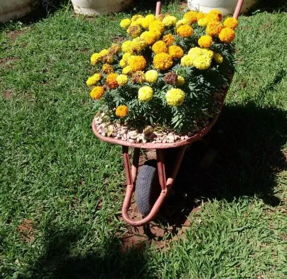 Majatalo Eco Pousada Jardim Do Eden