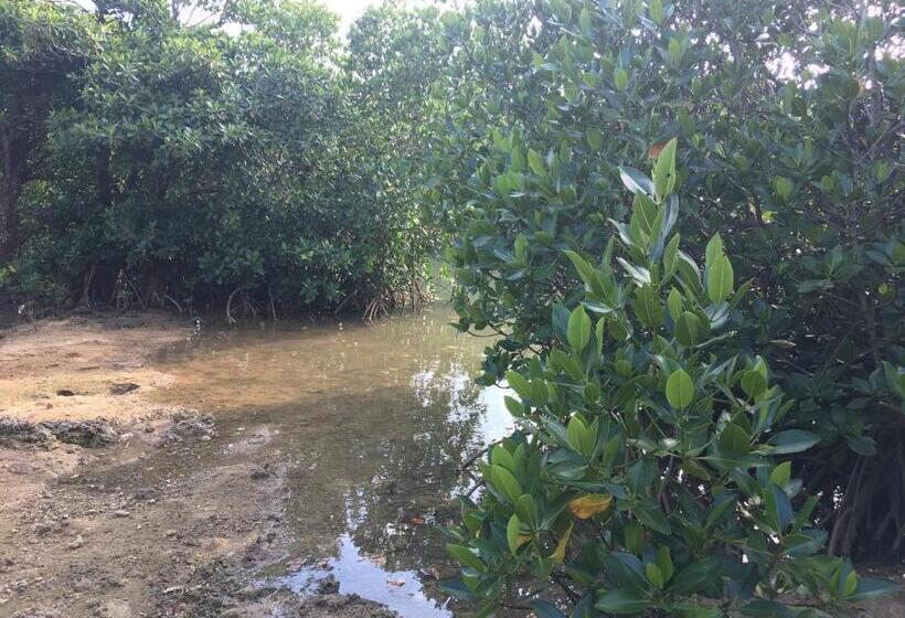 膳宿费 Guest House Suntoru