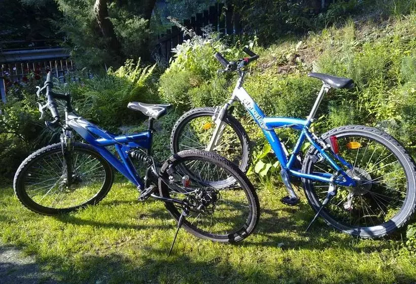 Majatalo Penzion Vlasta