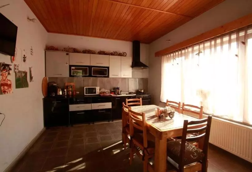 پانسیون Vaso Levani House