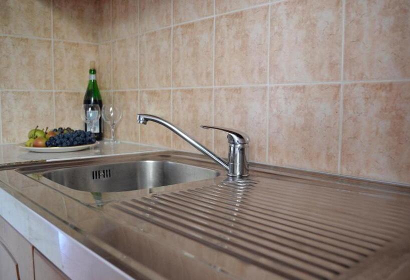 膳宿费 Villa Panorma