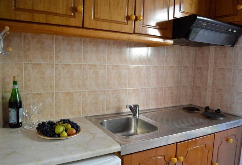 膳宿费 Villa Panorma