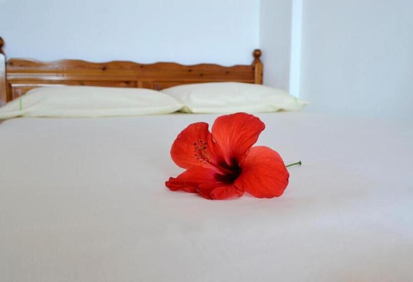 膳宿费 Villa Panorma