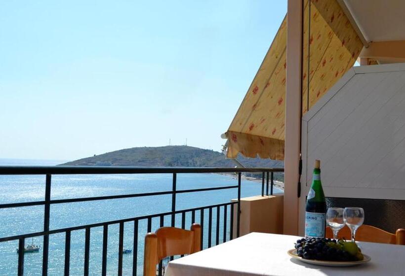 膳宿费 Villa Panorma