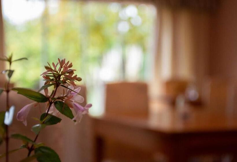 ユースホステル Hostería La Viña