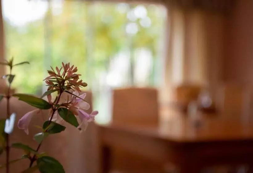 Retkeilymaja Hostería La Viña