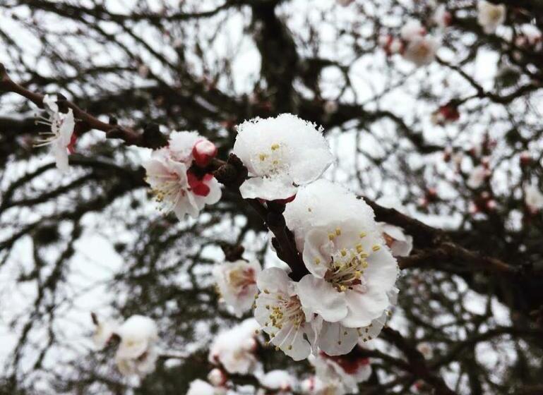 ユースホステル Hostería La Viña