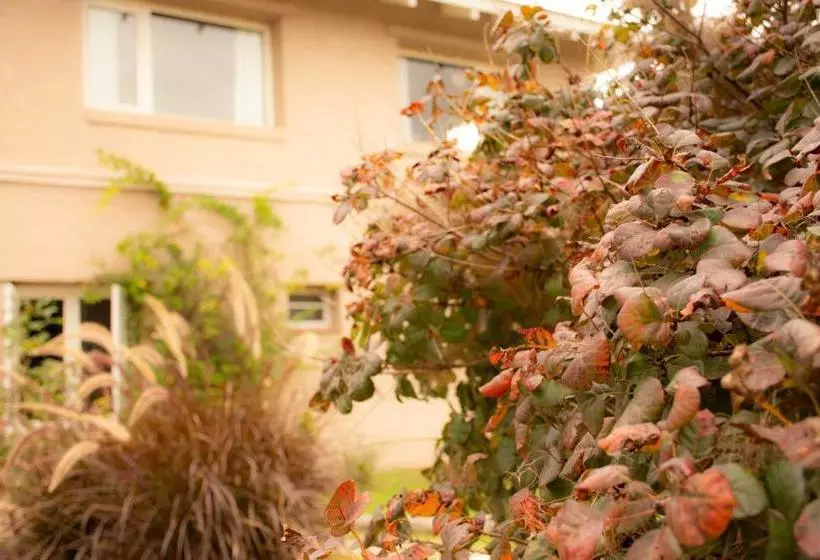 Retkeilymaja Hostería La Viña