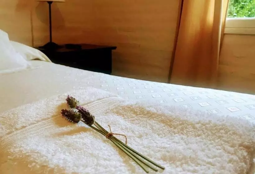 Retkeilymaja Hostería La Viña