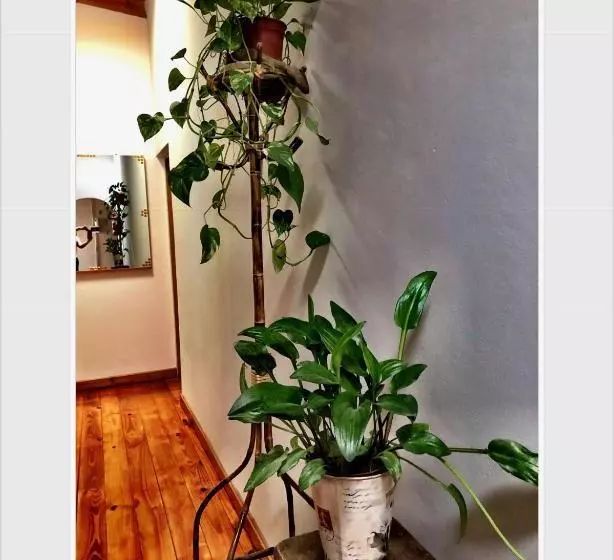 Retkeilymaja Hosteria Isabel