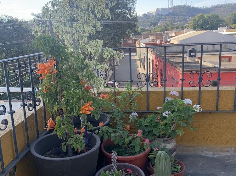 فندق صغير Posada Regional