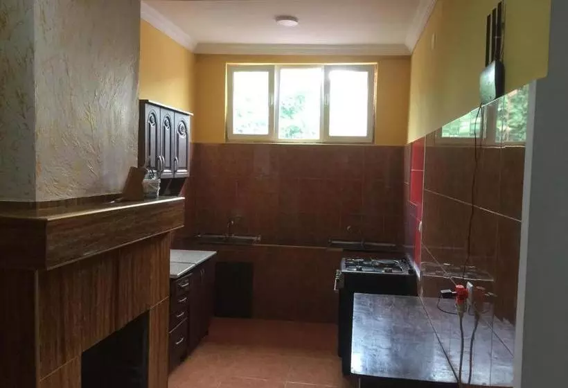 پانسیون Guesthouse David