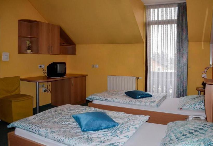 پانسیون Penzion Gostilna Keber