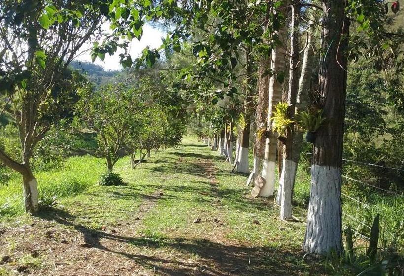 Pensão Pousada 7 Estrelas