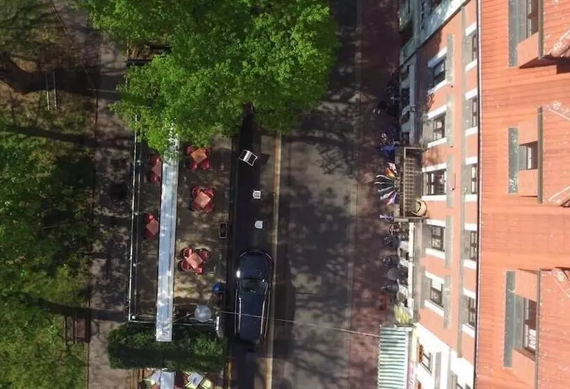 Hotel Avenida Park