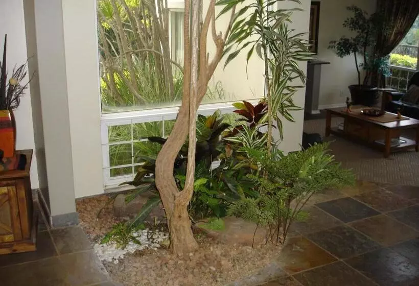 پانسیون Bella Vista Guest House