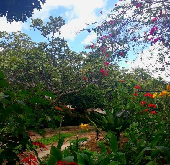 膳宿费 Pousada Café Do Brejo