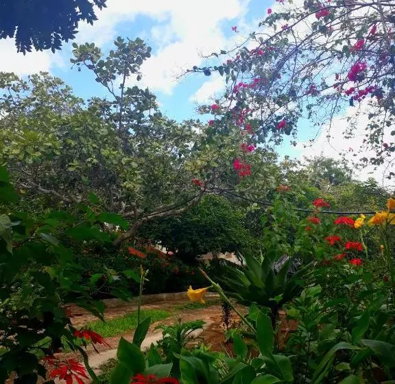 Majatalo Pousada Café Do Brejo