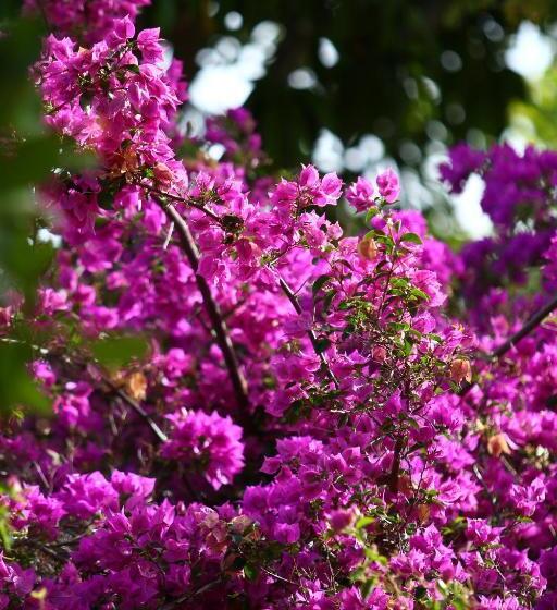 膳宿费 Pousada Café Do Brejo