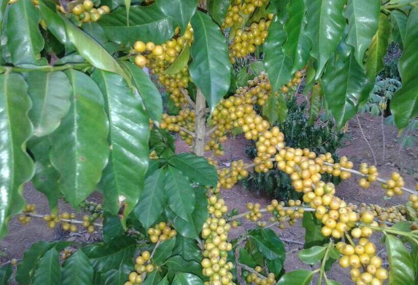 膳宿费 Pousada Café Do Brejo