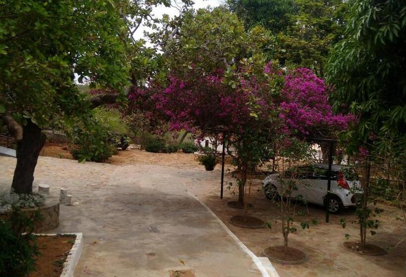 膳宿费 Pousada Café Do Brejo