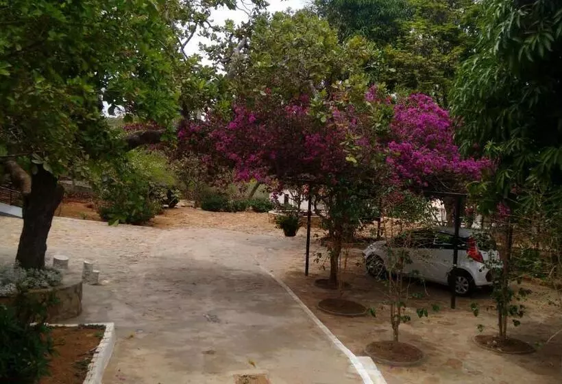 Majatalo Pousada Café Do Brejo