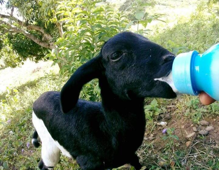 膳宿费 Pousada Café Do Brejo