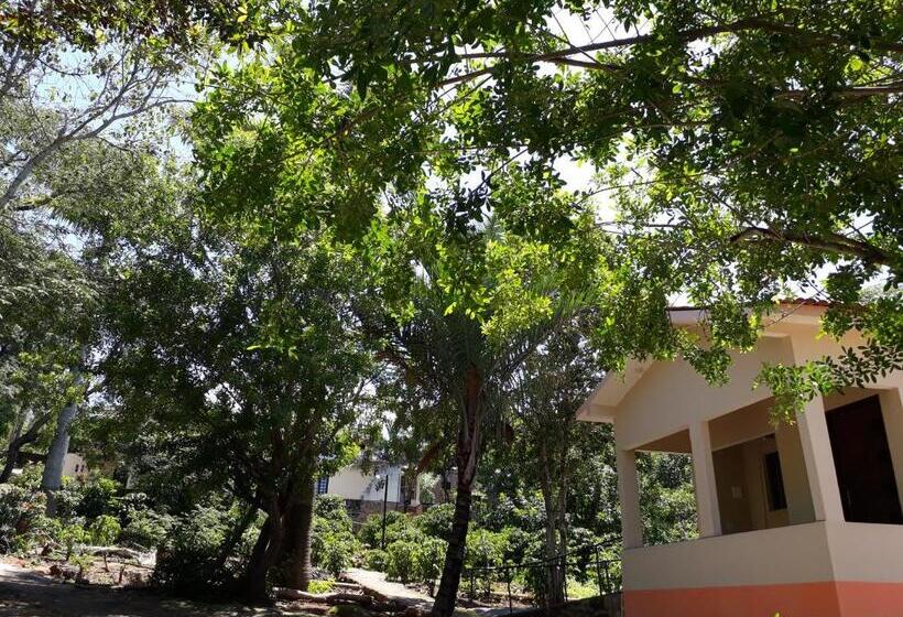 膳宿费 Pousada Café Do Brejo