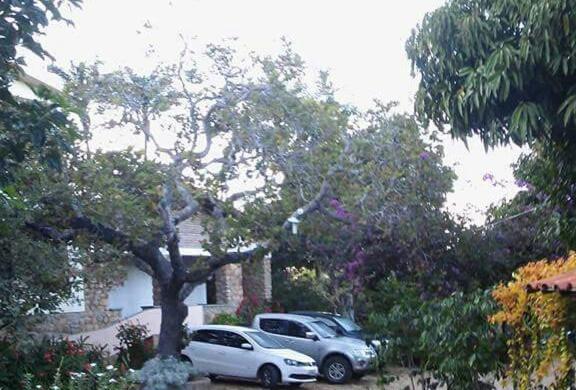 膳宿费 Pousada Café Do Brejo