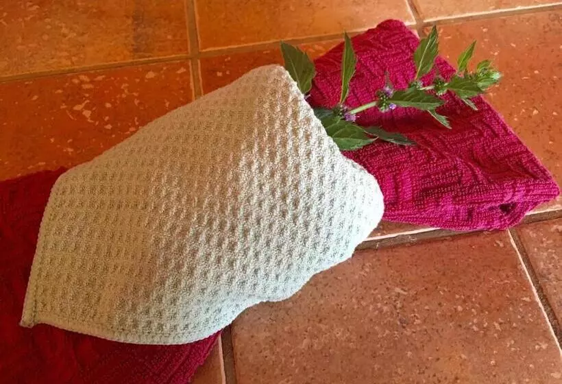 Retkeilymaja Homer Inn & Spa