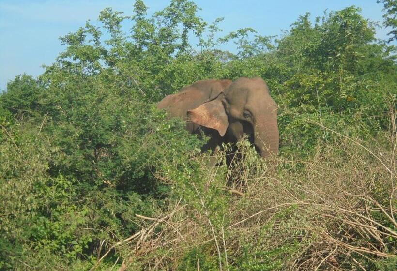 Пансион Ath Hala Safari Resort