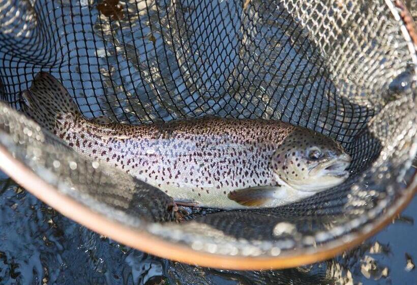 膳宿费 Oyado Fubuki