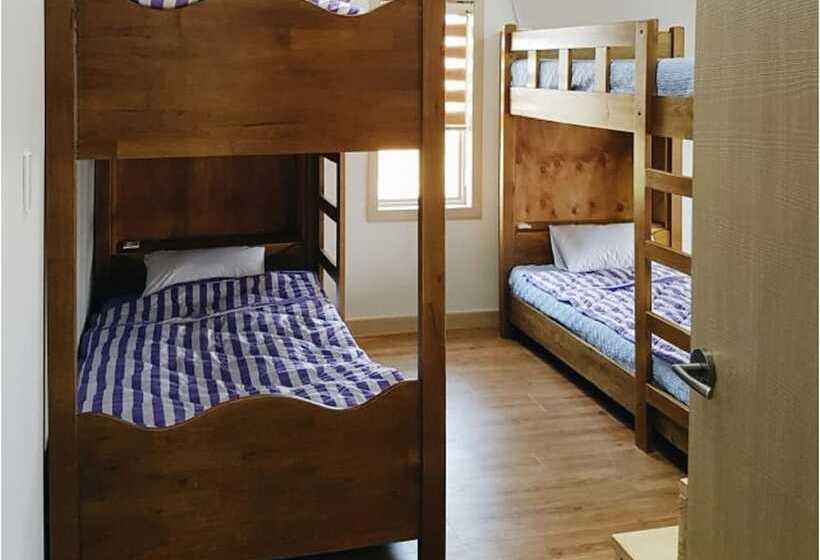 Two Wheels Pension & Guesthouse   Hostel