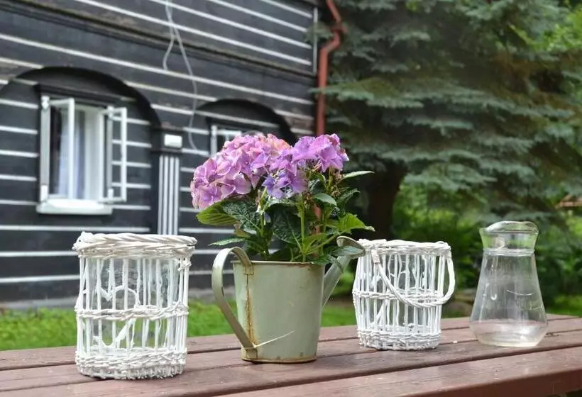 Majatalo Penzion U Kozy