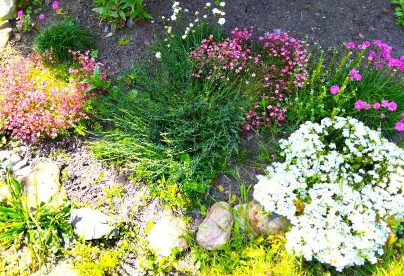 Majatalo Penzion U Kozy