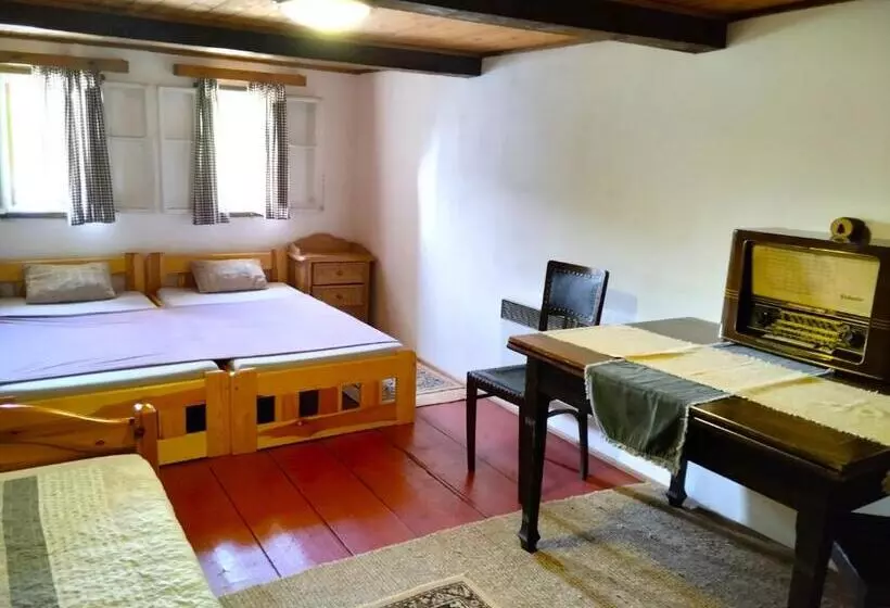 Majatalo Penzion U Kozy