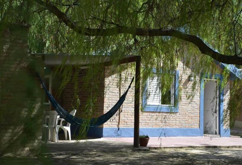 הוסטל Complejo De Cabañas Pach   Flo