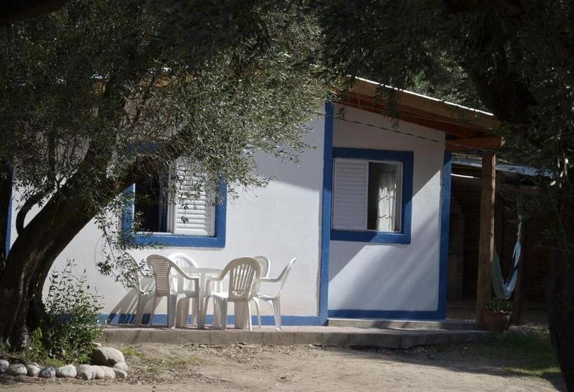 הוסטל Complejo De Cabañas Pach   Flo