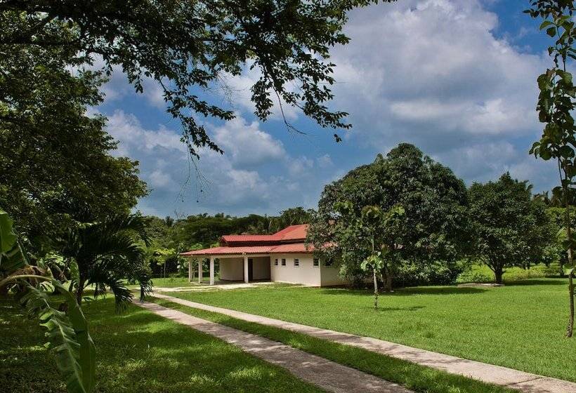 بنسيون Rock Farm Guest House