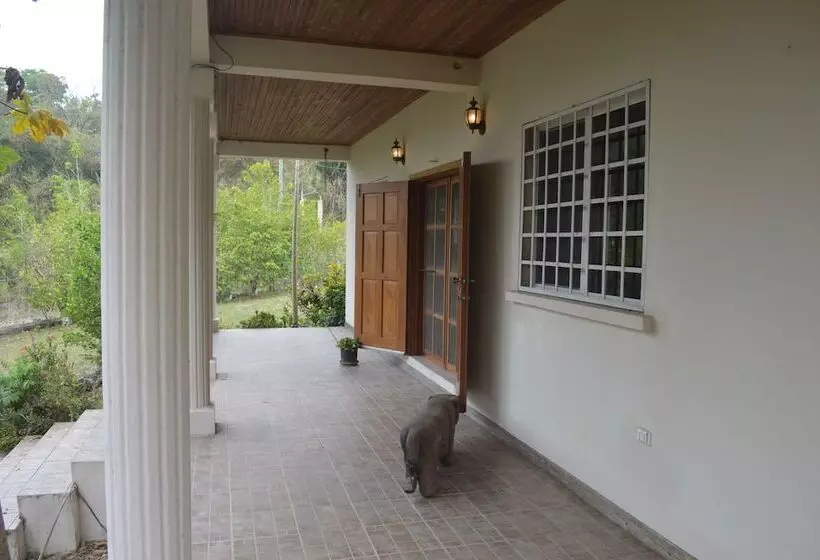 ペンション Rock Farm Guest House