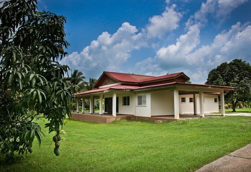 بنسيون Rock Farm Guest House