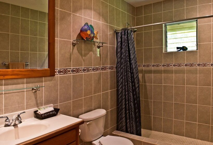 بنسيون Rock Farm Guest House