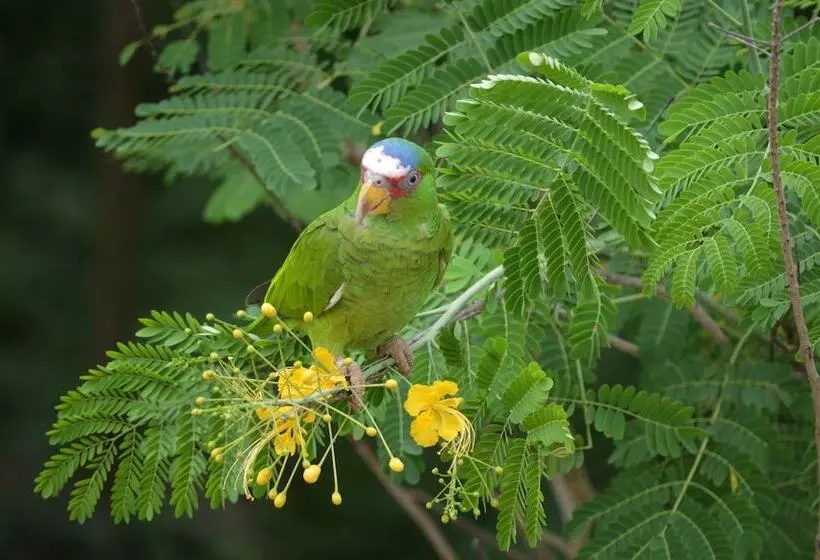 ペンション Rock Farm Guest House
