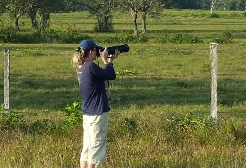 بنسيون Rock Farm Guest House